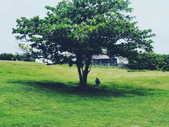 -鹅銮鼻公园