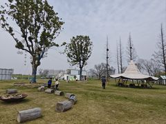 -西山漾湿地公园