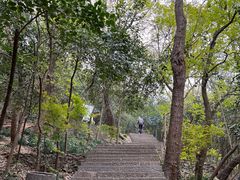 -紫金山山顶公园