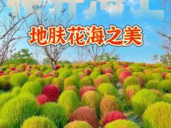 -花开海上生态园