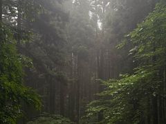 -上色见熊野座神社