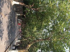八大关景区-八大关景区