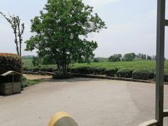 -凤凰沟景区