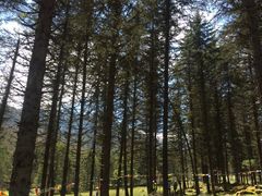 -硗碛藏寨·神木垒景区