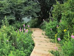 -白草畔自然风景区