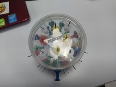 -新航道雅思托福·留学·考研培训(人民广场校区)