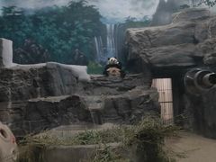 -鄂尔多斯野生动物园