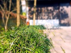 -法云安缦酒店
