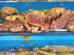 -盛华世家商业广场农贸水产综合批发市场