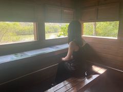 -华侨城湿地公园