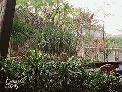 -琼菜坊·无鸡不成宴·海南菜老爸茶糟粕醋(海口骑楼老街店)