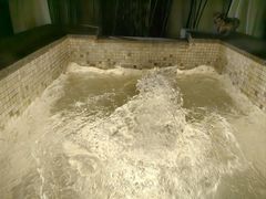 -春晖园度假酒店温泉