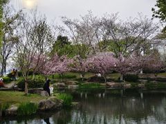 -苏州独墅湖世尊酒店