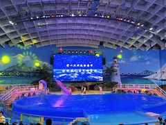 -海合安武汉极地海洋公园