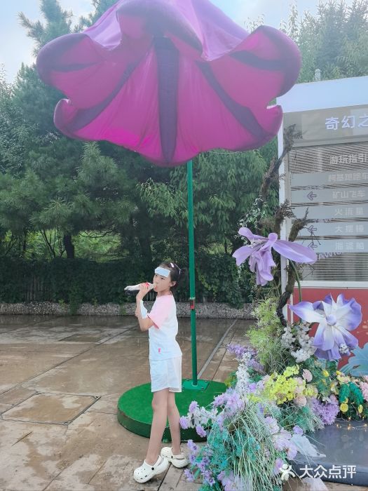 沈阳方特欢乐世界图片