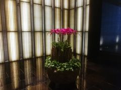 -上海璞麗酒店