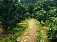 -南国桃园旅游度假区