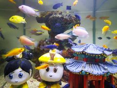 -大明湖海底世界