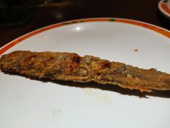 -比格比萨自助(花园路店)