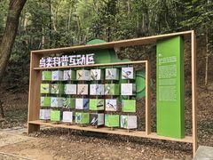 -上海佘山国家森林公园天马山园