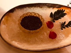 -西郊5号·Maggie 5