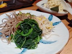 什锦拌菜-炼火烤肉店