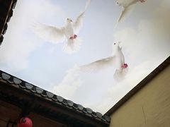 -徽三说·土徽菜·中国徽菜连锁品牌(一中店)