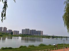-渭滨公园