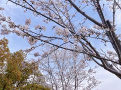 -幕燕滨江·燕子矶公园