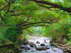 -广州市石门国家森林公园