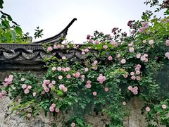 -惠山古镇·寄畅园