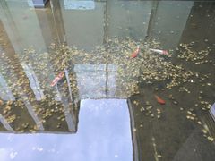 -韶山毛泽东图书馆