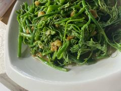 炒南瓜苗-陈记粤湛鸡饭店