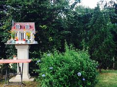 -黄色小屋