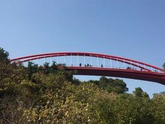 -金鸡山公园