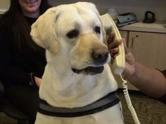 -pd派德宠物中心医院24H急重症·眼科中心·血液透析中心(嵩山北路店)