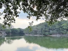 -广州莲花山旅游区