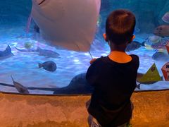 -沈阳海洋探索中心