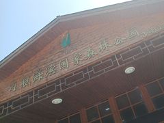 -日照海滨国家森林公园