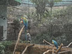 -九龙公园