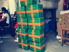 -海吉星市场