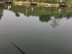 -帐篷客·溪龙茶谷度假酒店