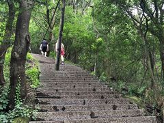 -紫金山山顶公园