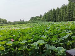 -云龙湖旅游景区