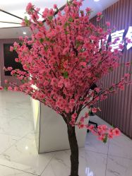 点击看大图 -Sunny喜铺婚礼策划(东部店)