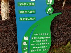 -洛龙公园