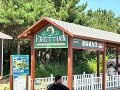 -南戴河国际娱乐中心