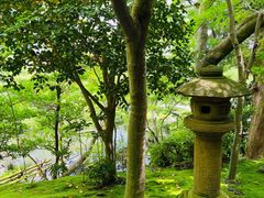 -西芳寺(苔寺)