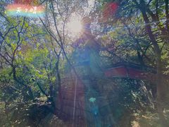 -阳台山自然风景区