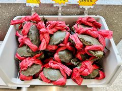 越南膏蟹-桂大叔·砂锅粥·家传闽粤菜(县西巷店)